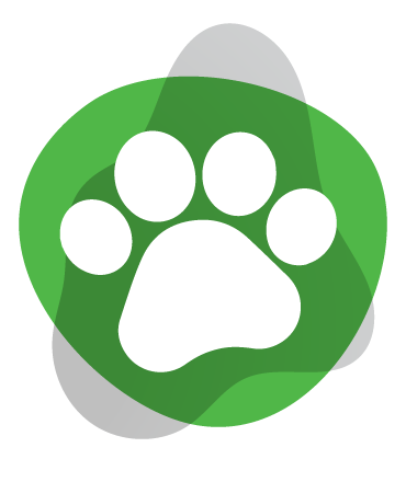 Produtos pet personalizados